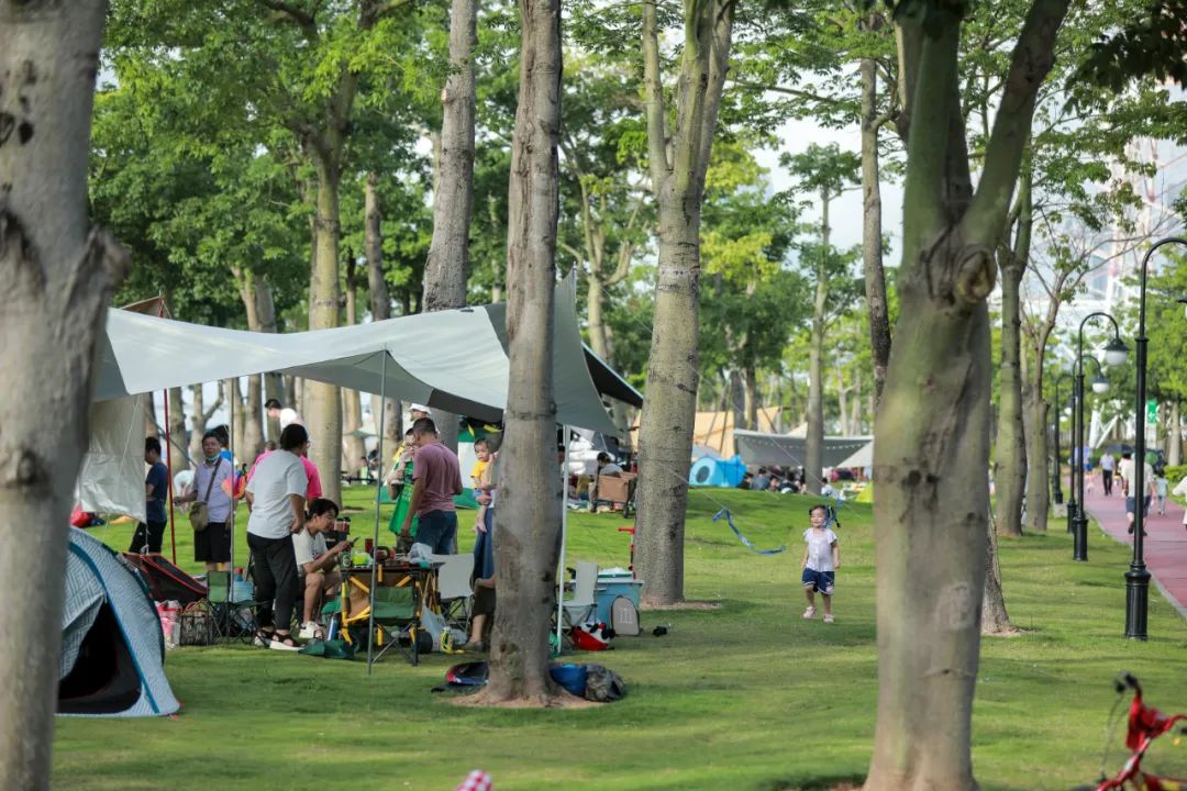 1654740850545666.jpg 1654740850545666.jpg