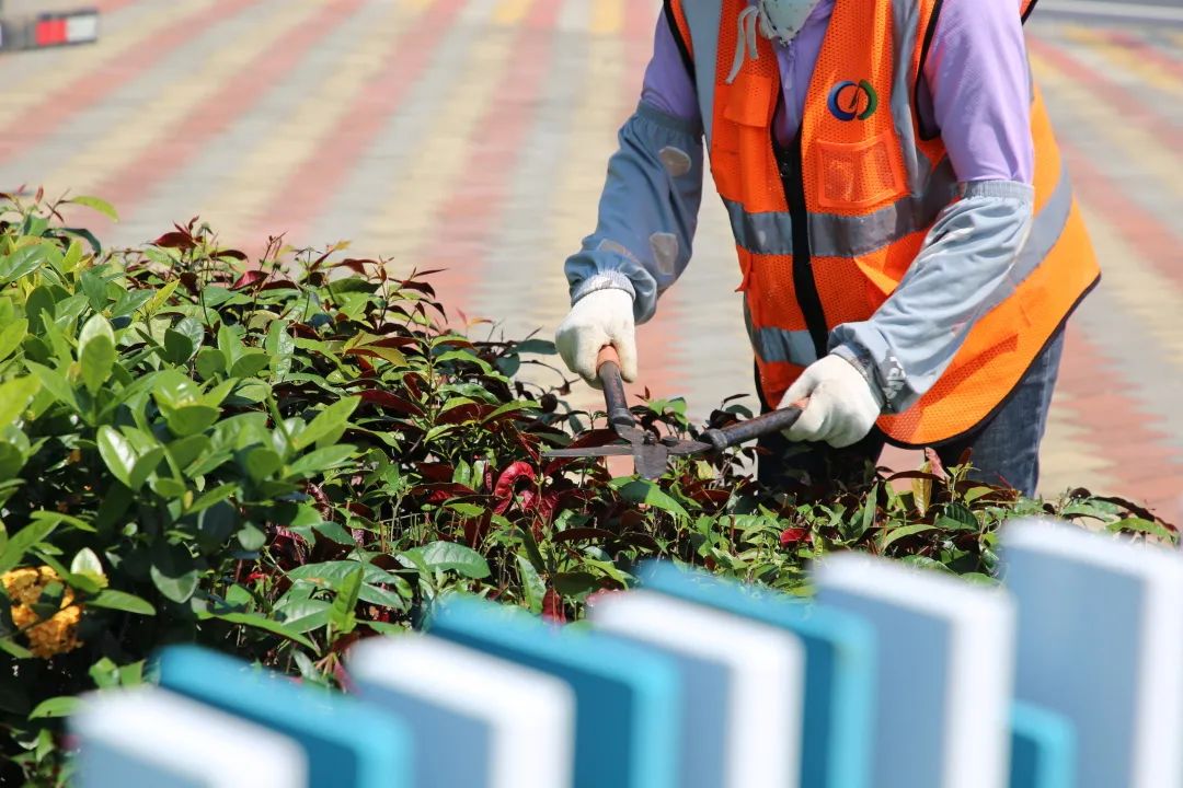 1676277534715324.jpg ΢ÐÅͼƬ_20230213162408.jpg