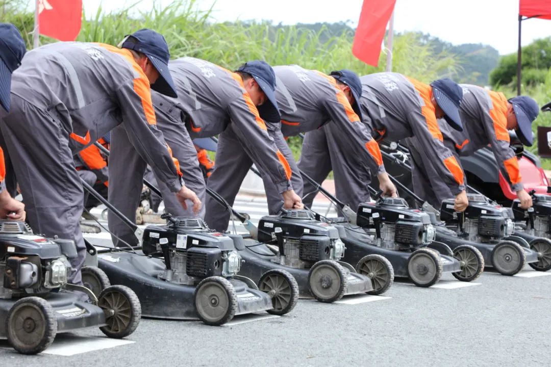 1688549789226104.jpg 7.jpg