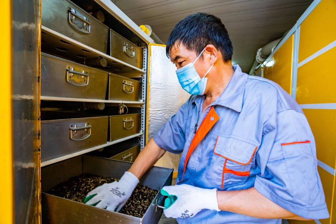 1692937214965177.jpg 4.jpg