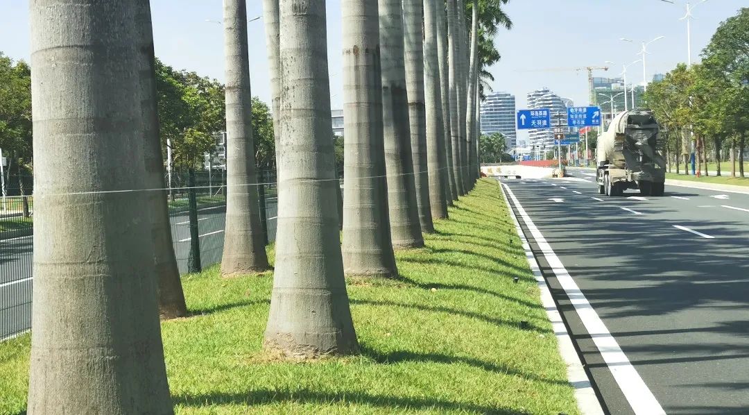 1721012498840953.jpg 7.jpg