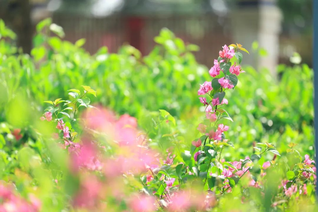 1728897052728809.jpg 30.jpg