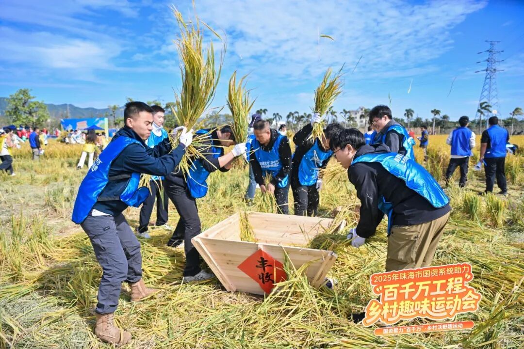 1764660487275068.jpg 6.jpg